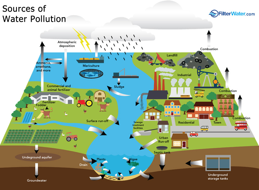 Water Pollution FilterWater